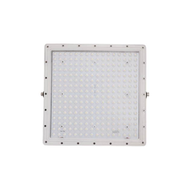 LED Flood Light